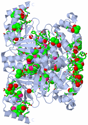 Image Biol. Unit 1 - sites