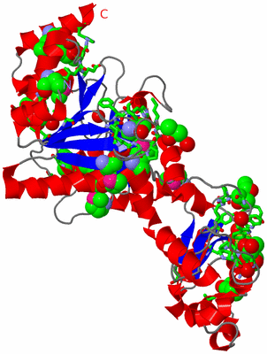 Image Asym. Unit - sites