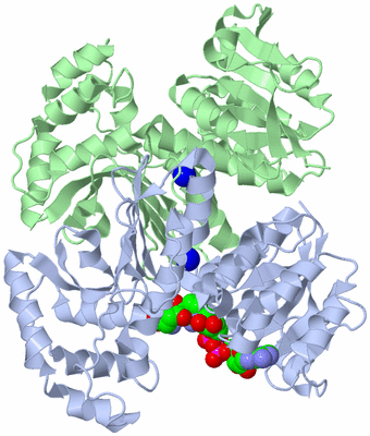 Image Asym./Biol. Unit