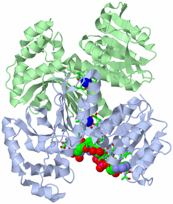 Image Asym./Biol. Unit - sites