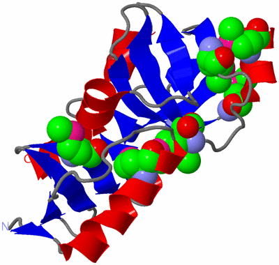 Image Asymmetric Unit