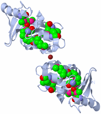 Image Biological Unit 2