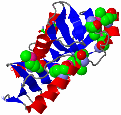 Image Asym. Unit - sites