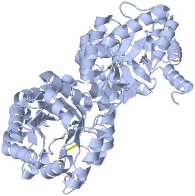 Image Biological Unit 1