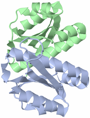 Image Biological Unit 3