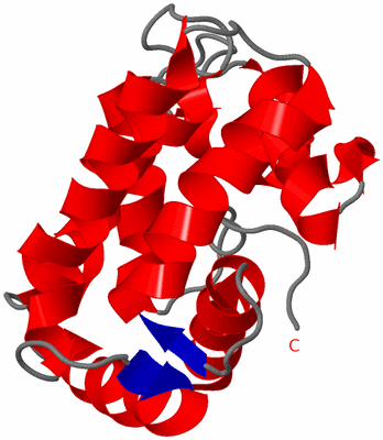 Image NMR Structure - model 1