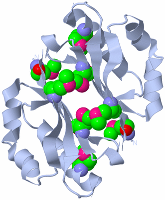 Image Biological Unit 2