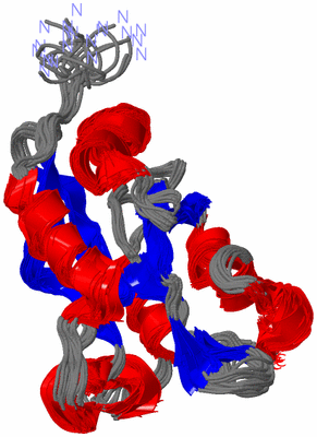 Image NMR Structure - all models