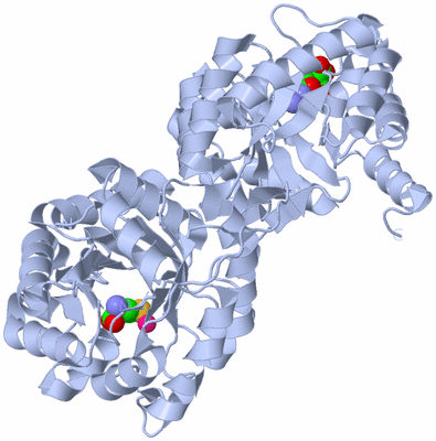 Image Biological Unit 1