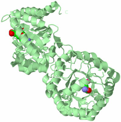 Image Biological Unit 2