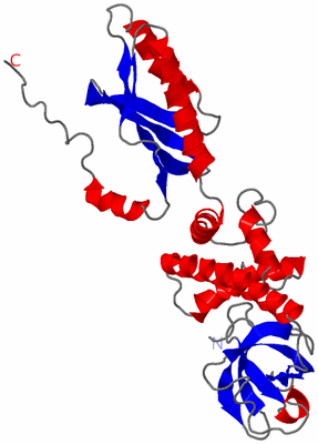 Image NMR Structure - model 1