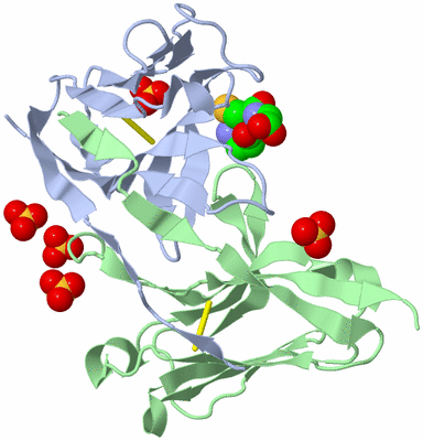 Image Biological Unit 1