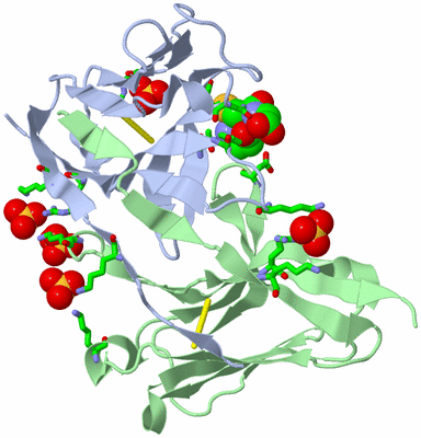 Image Biol. Unit 1 - sites