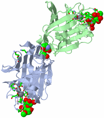 Image Asym./Biol. Unit - sites