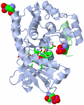 Image Asym./Biol. Unit - sites