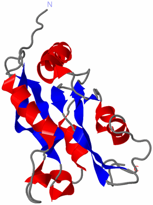 Image NMR Structure - model 1