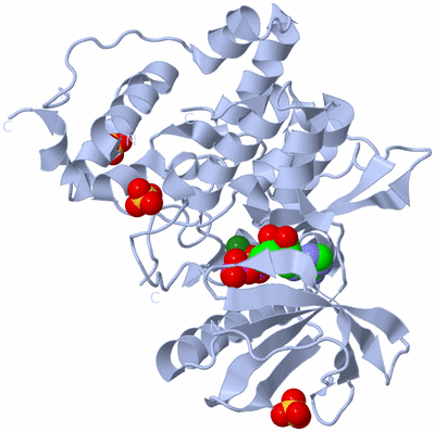 Image Biological Unit 1