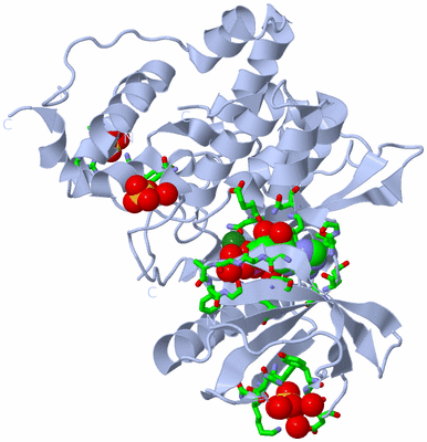 Image Biol. Unit 1 - sites