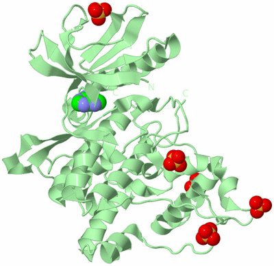 Image Biological Unit 2