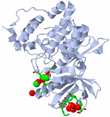 Image Biol. Unit 1 - sites