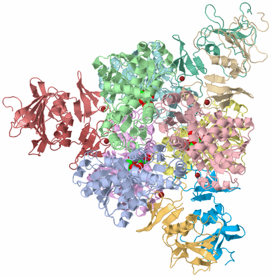 Image Asym./Biol. Unit