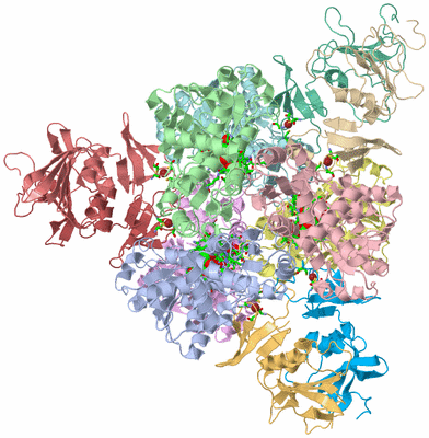 Image Asym./Biol. Unit - sites