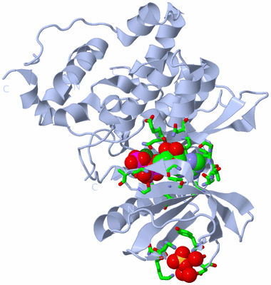 Image Biol. Unit 1 - sites