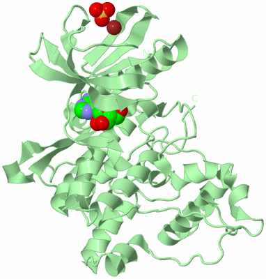 Image Biological Unit 2