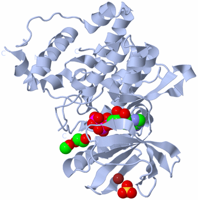 Image Biological Unit 1