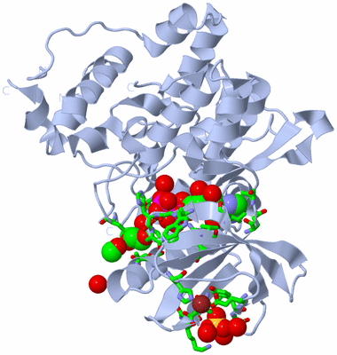 Image Biol. Unit 1 - sites