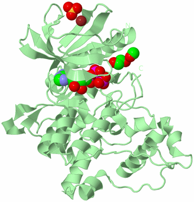 Image Biological Unit 2