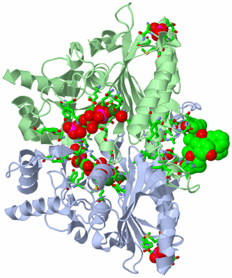 Image Biol. Unit 1 - sites