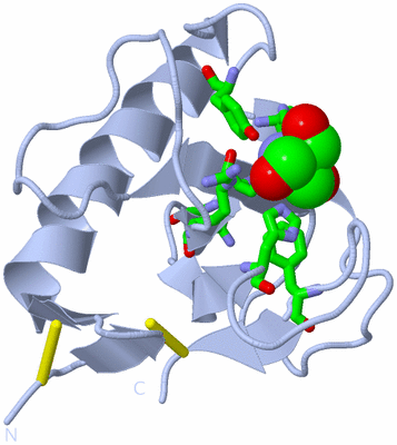 Image Biol. Unit 1 - sites