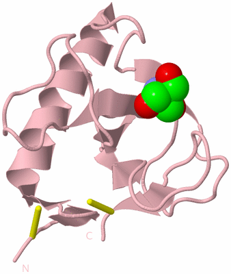 Image Biological Unit 3