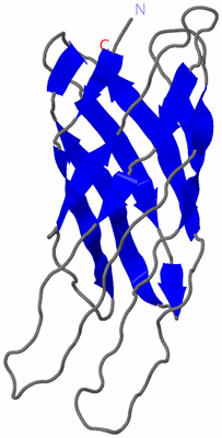 Image NMR Structure - model 1