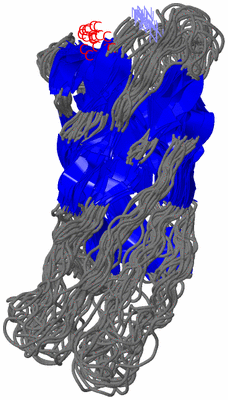 Image NMR Structure - all models