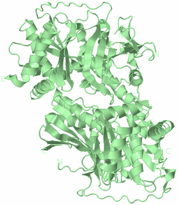 Image Biological Unit 3