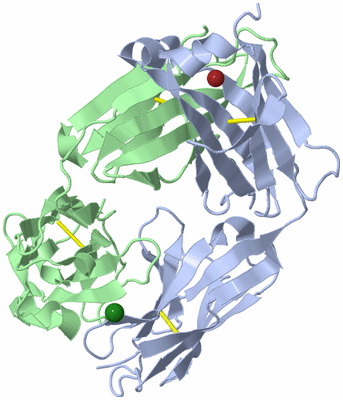 Image Biological Unit 1