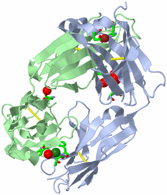 Image Biol. Unit 1 - sites