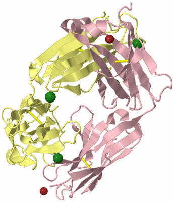 Image Biological Unit 2