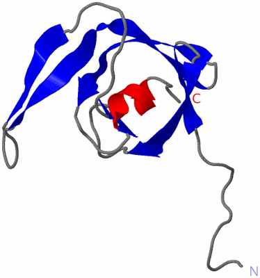 Image NMR Structure - model 1