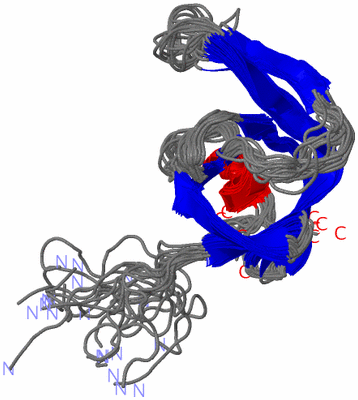 Image NMR Structure - all models