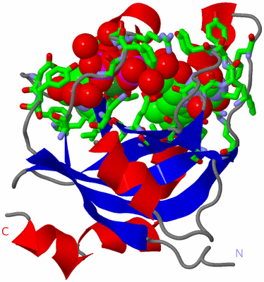 Image Asym./Biol. Unit - sites