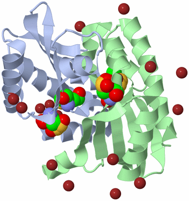 Image Asym./Biol. Unit