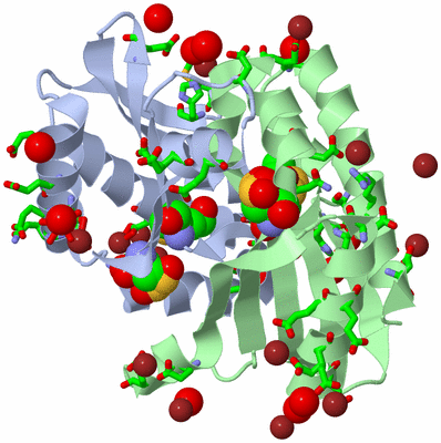 Image Asym./Biol. Unit - sites
