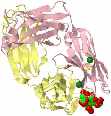 Image Biological Unit 2