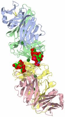 Image Biological Unit 3