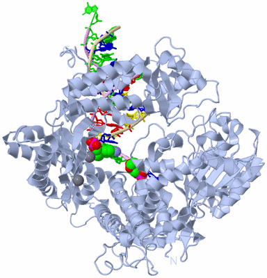 Image Biological Unit 1