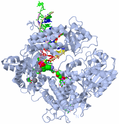 Image Biol. Unit 1 - sites