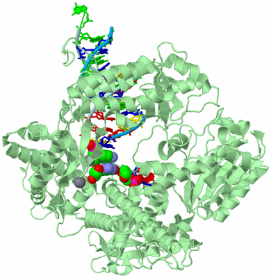 Image Biological Unit 2